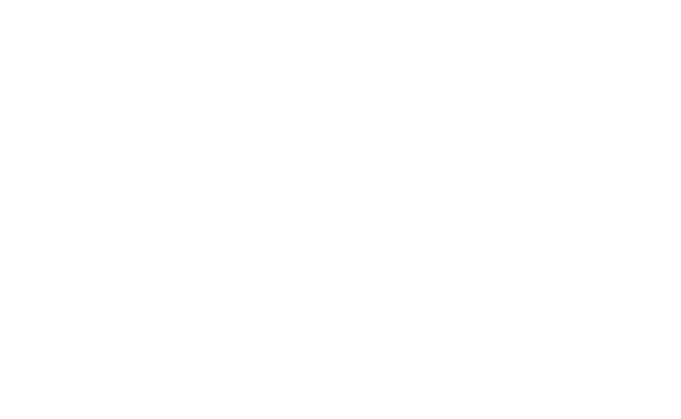 The Swimet